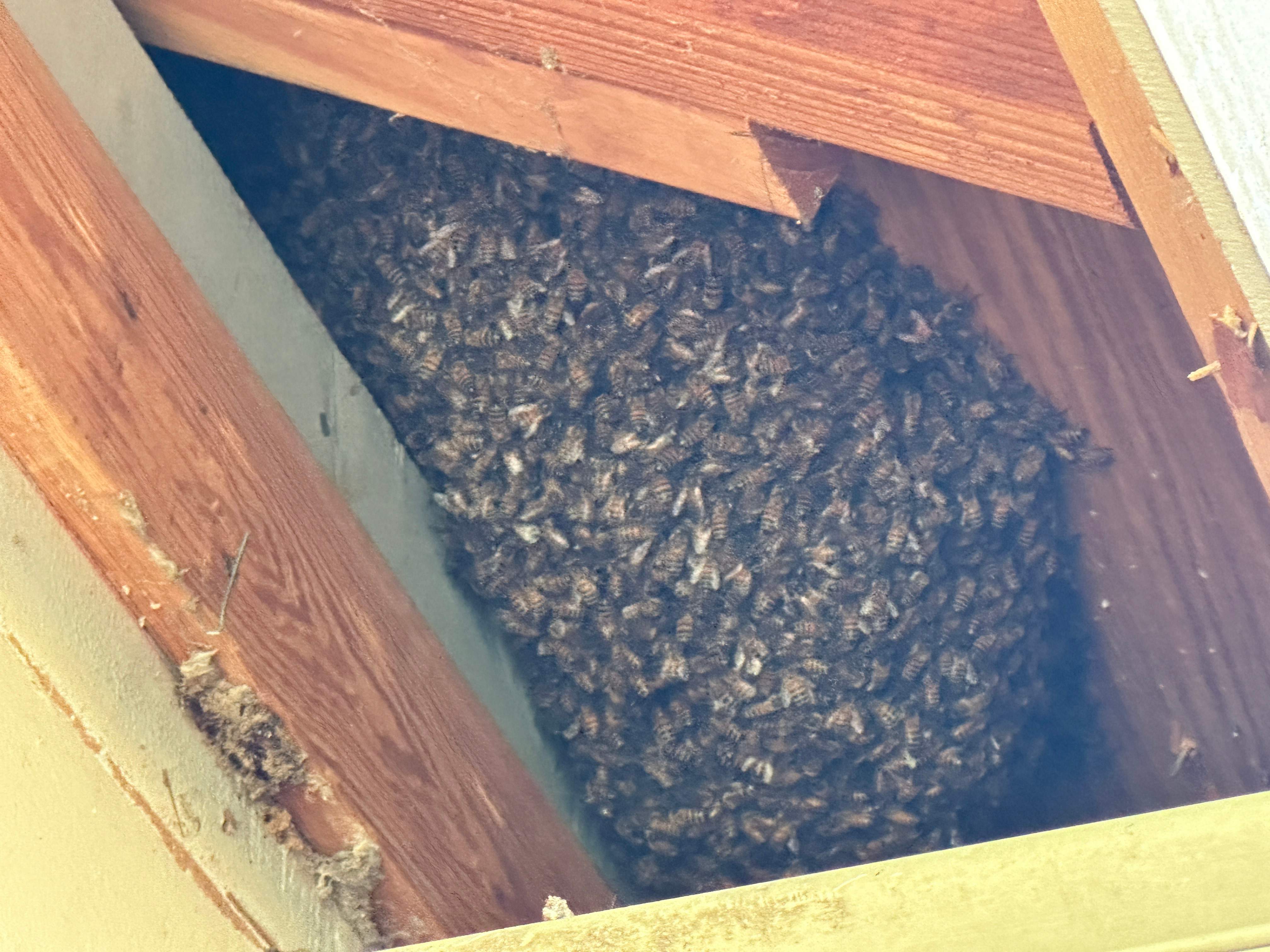 Heartfelt by Rockwall Honey Bee Company