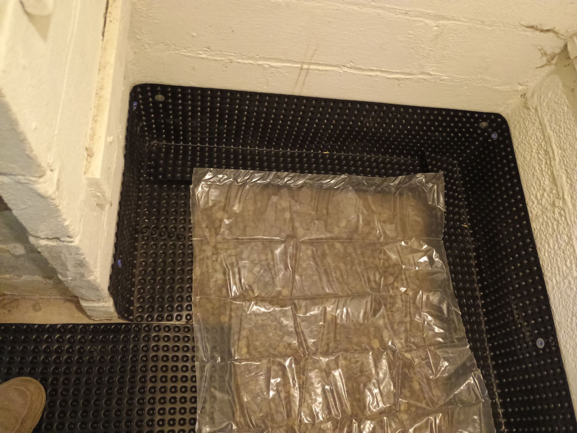 Abigail's New Home by Waterproofing Northeast