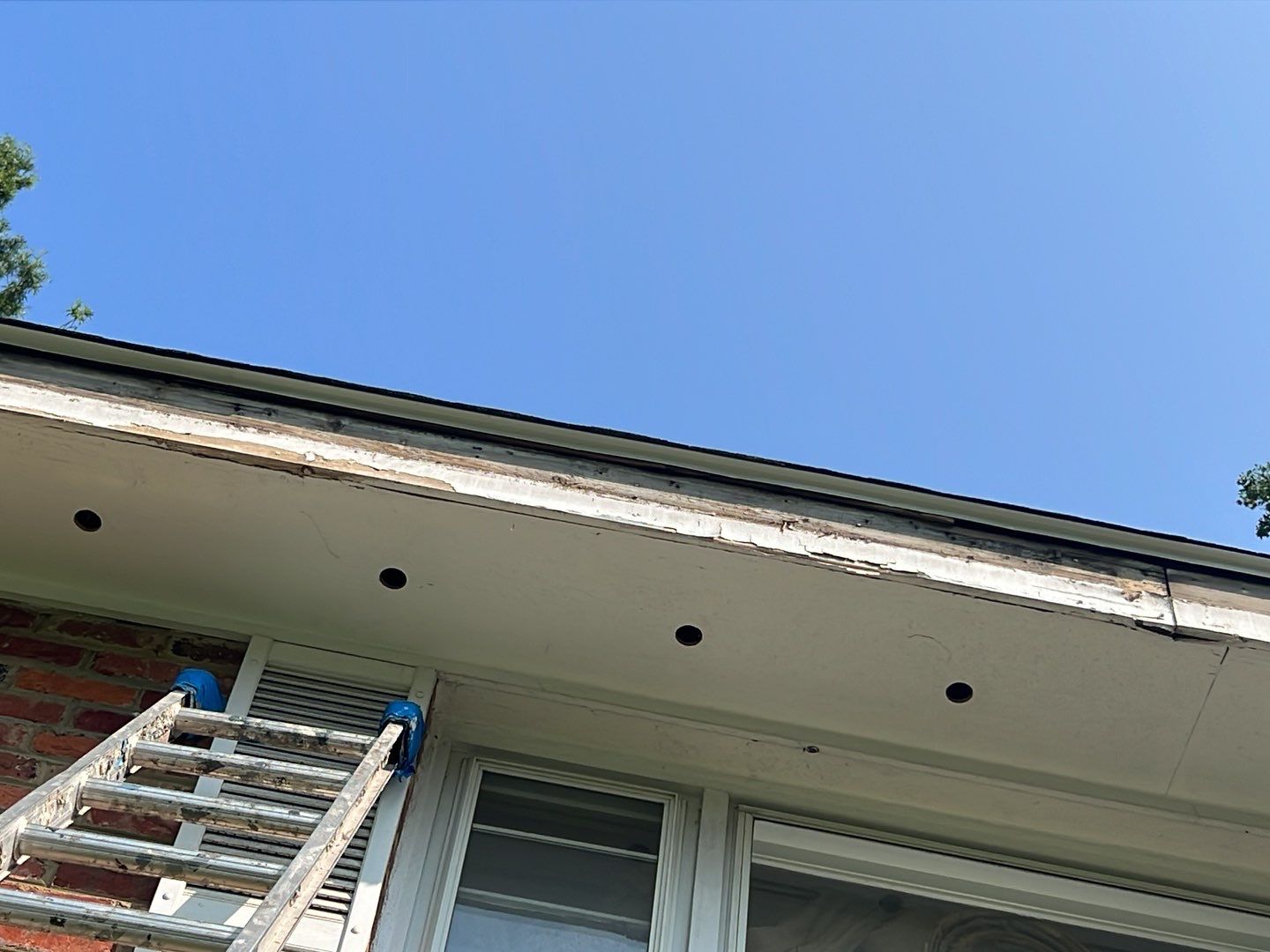 Springfield Tree Damage Restoration: CertainTeed Landmark Designer Shingles in Charcoal Black by RM Banning, Inc.