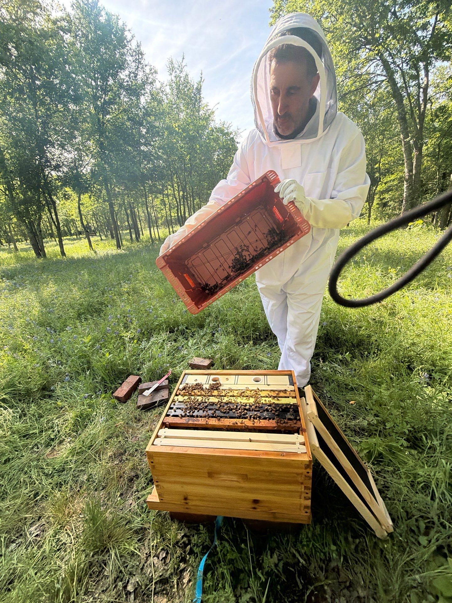 New Beekeeper in Maypearl by Rockwall Honey Bee Company