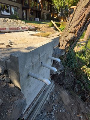 Coastal Landscape Restoration & Retaining Structure - In progress