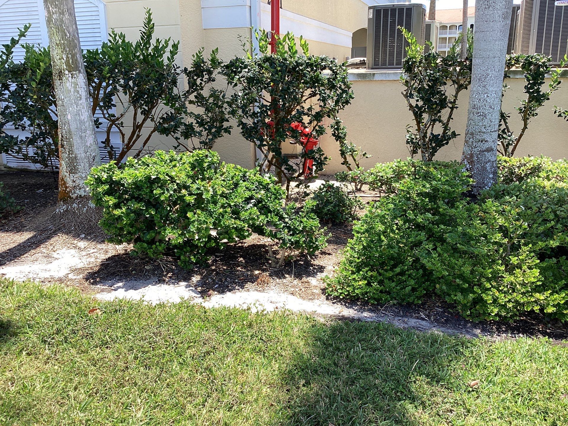 Residential Gutter Upgrade in Fort Myers FL by Gutter Professors