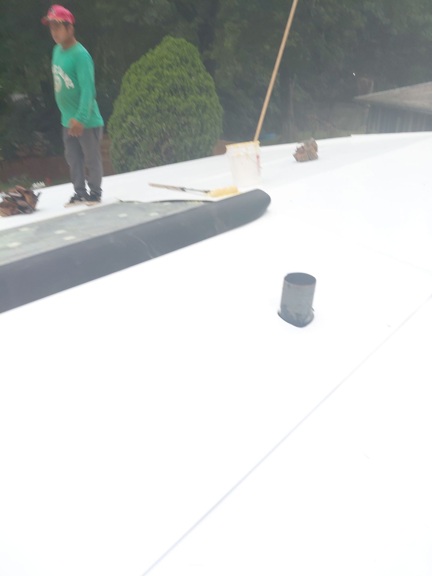 Falls Church :  TPO by RM Banning, Inc.