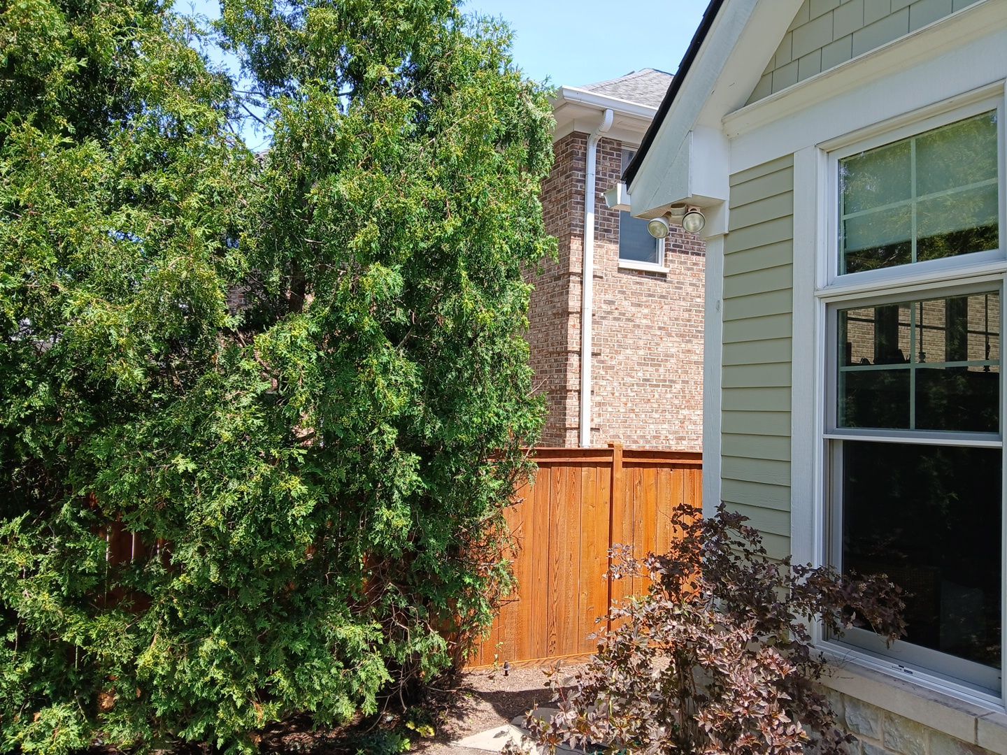 Lisa C. - Arlington Heights, IL by A&N