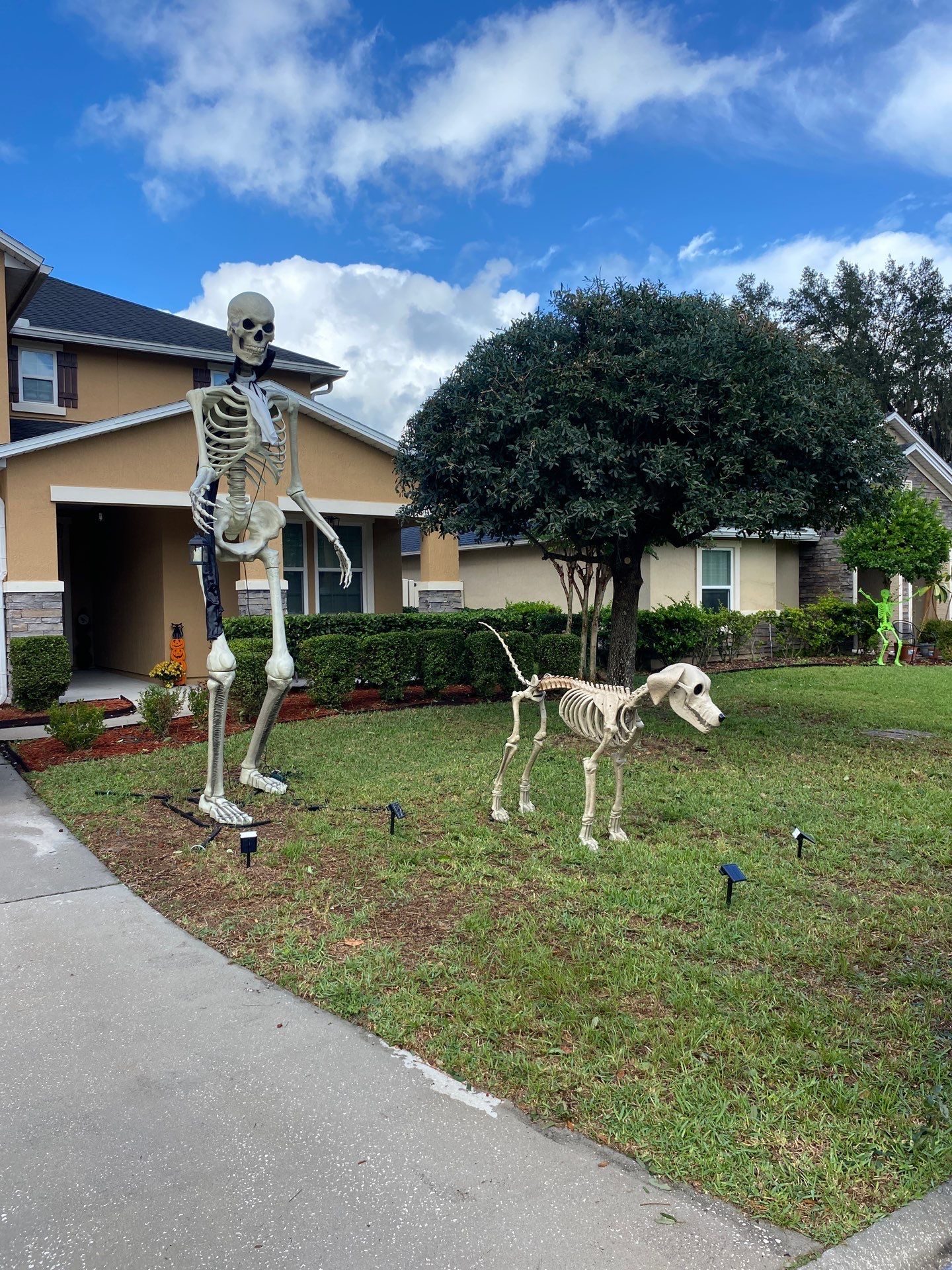 Property Clean Up | Residential by ProGreen Services