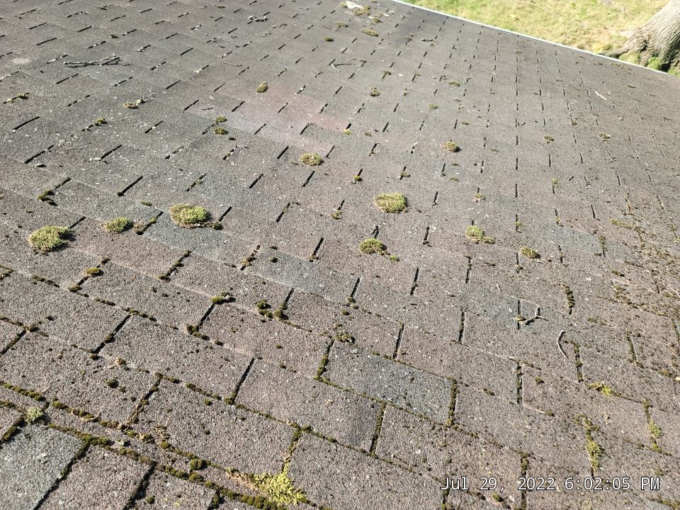 ATLAS PINNACLE COLOR: COASTAL GRANITE DRIP EDGE: BLACK by Eagle Eye Roofing