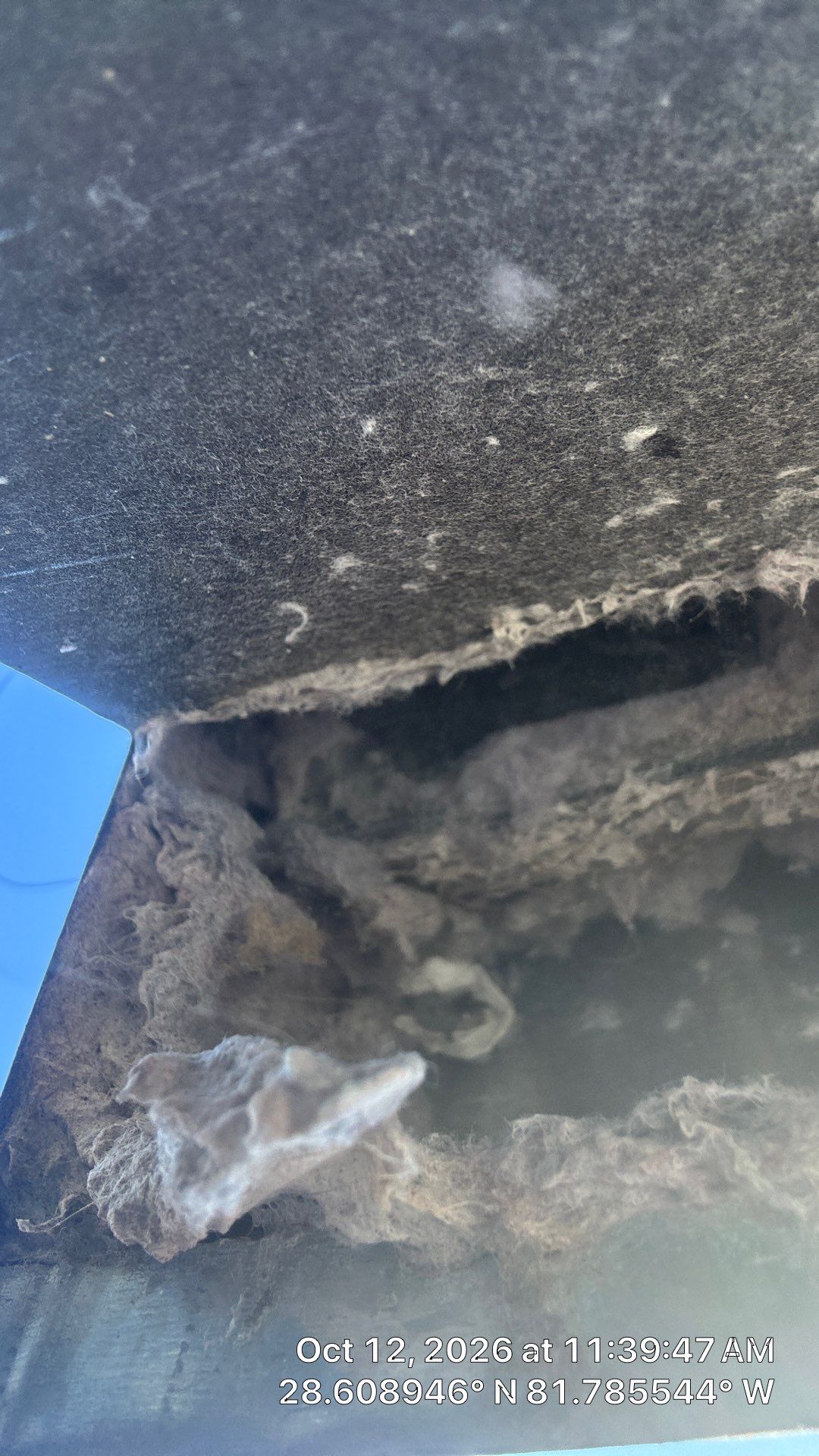 Air Duct & Dryer Vent Cleaning — Groveland by Hygienic Air, Inc