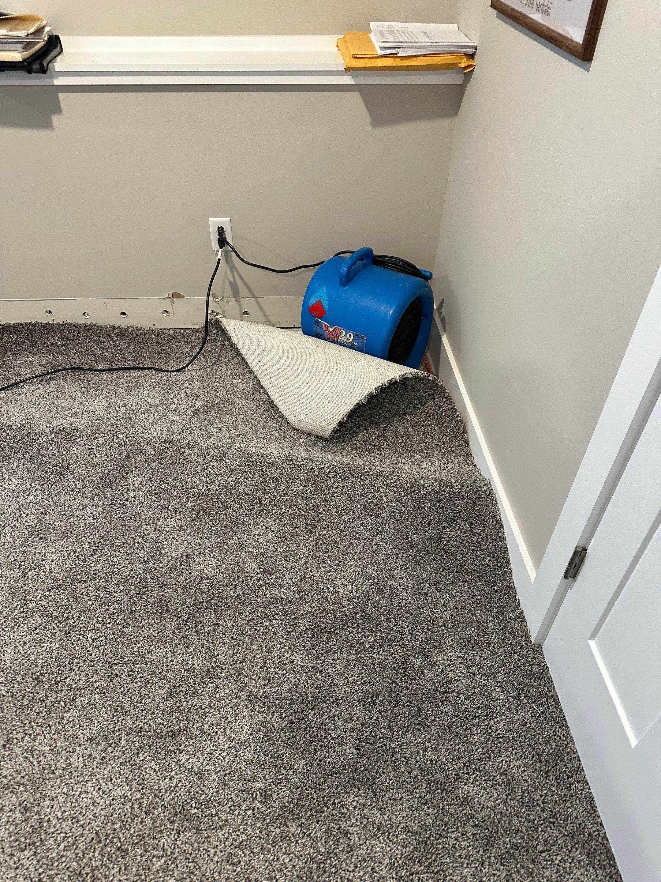 Foundation leak long term damage in new build home by BlueRed Restoration