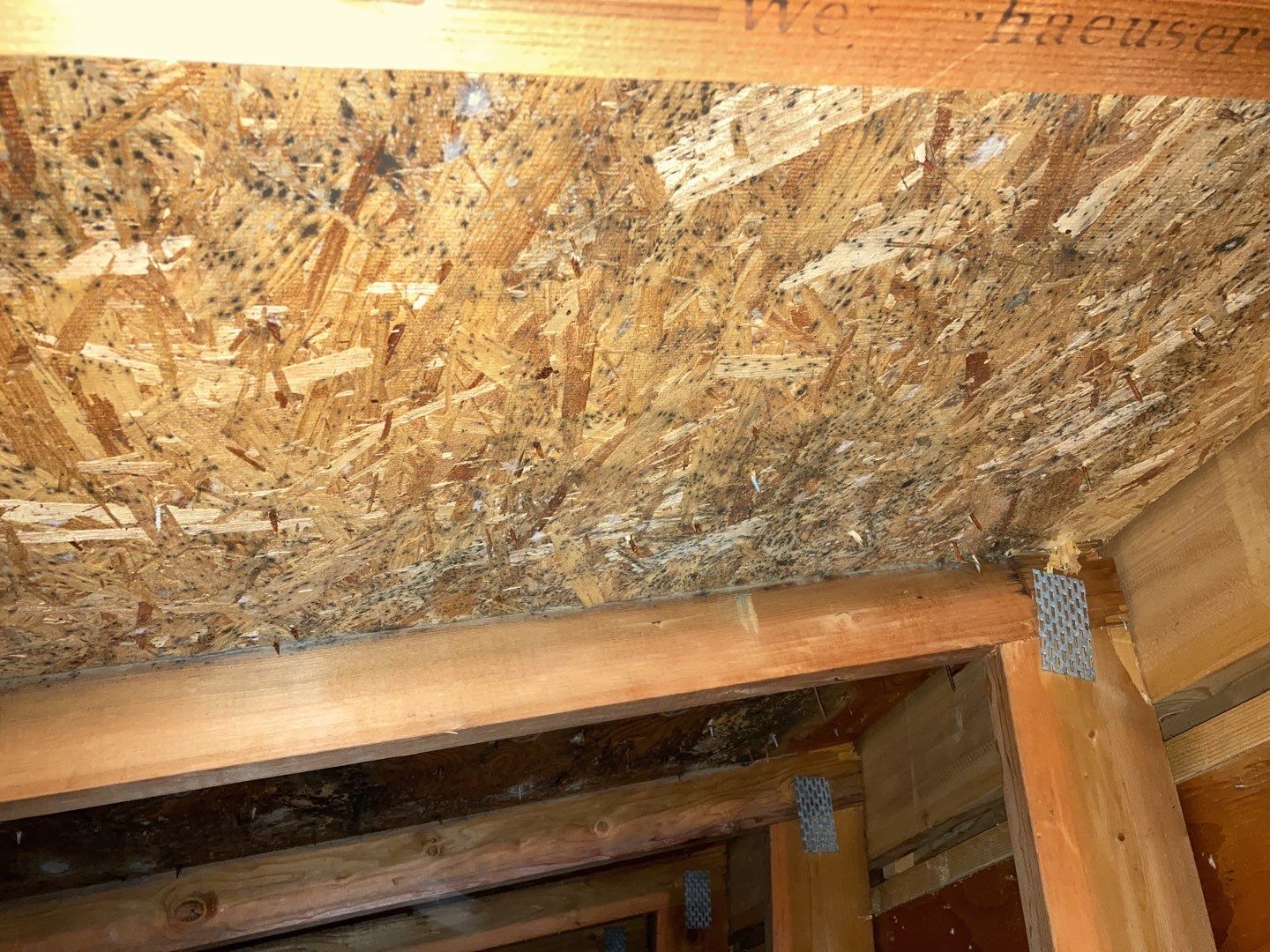 Mold Remediation in Attic by Accountable Home Services