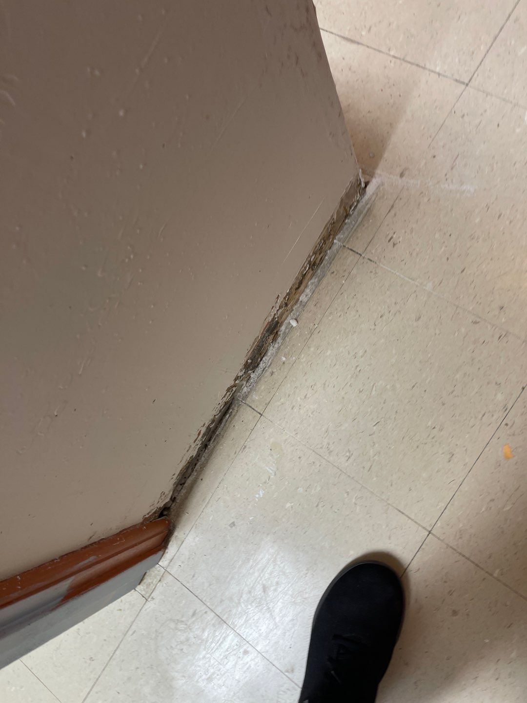 Cat Hospital Project in Pittsburgh by Floors in a Day, Inc