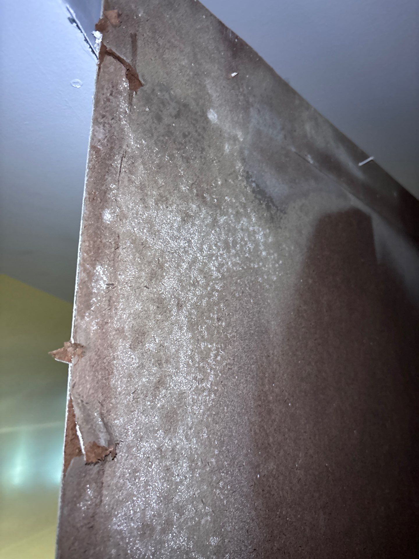 Mold Remediation In Sarasota, FL by Ampm Restoration Services