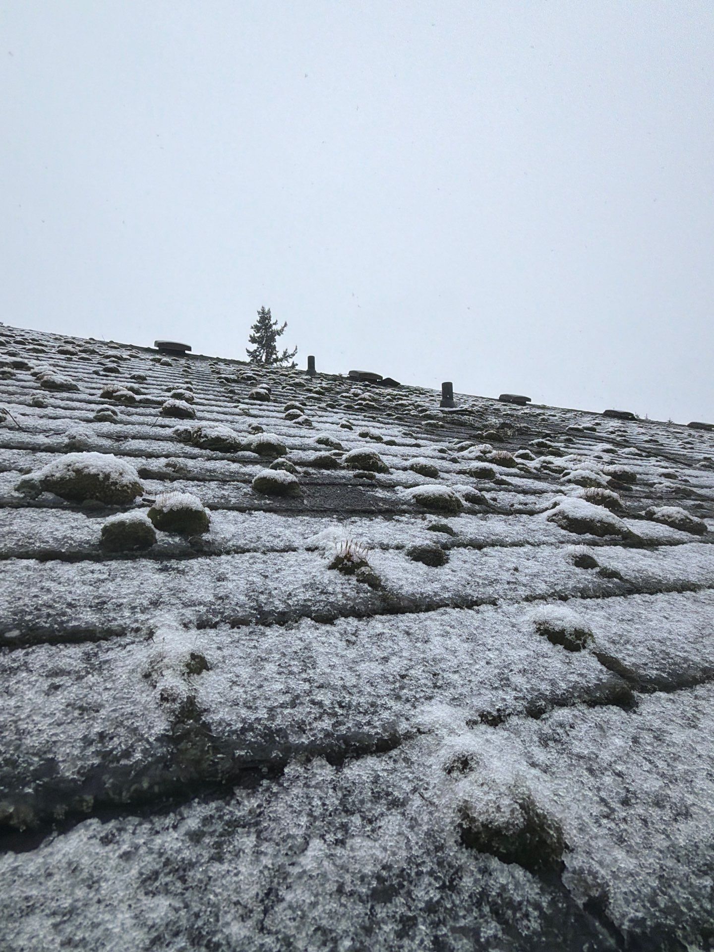 Roof in Lake Stevens by Connolly Construction Company