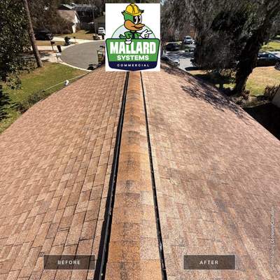 Shingle Roof Cleaning