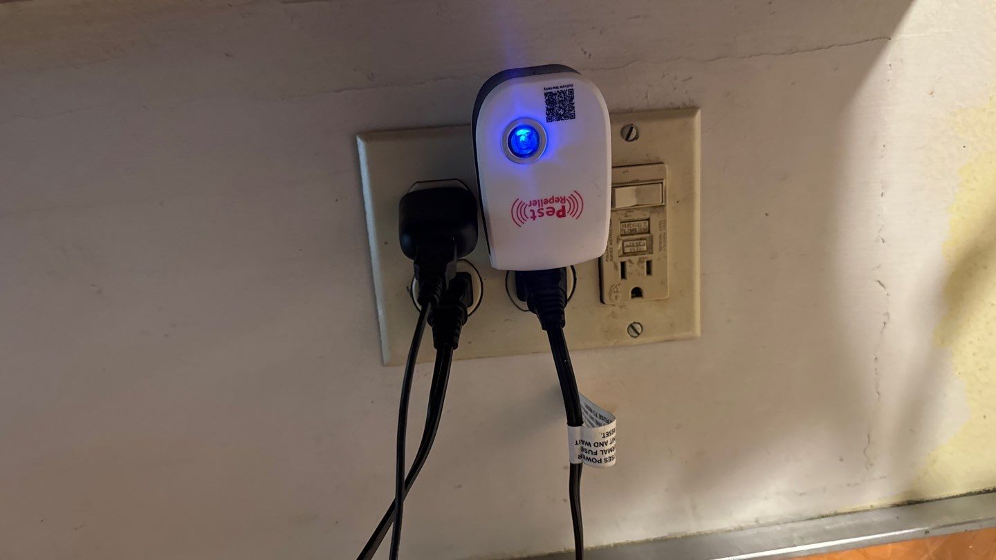 Project in Richmond by NuLead Construction Inc