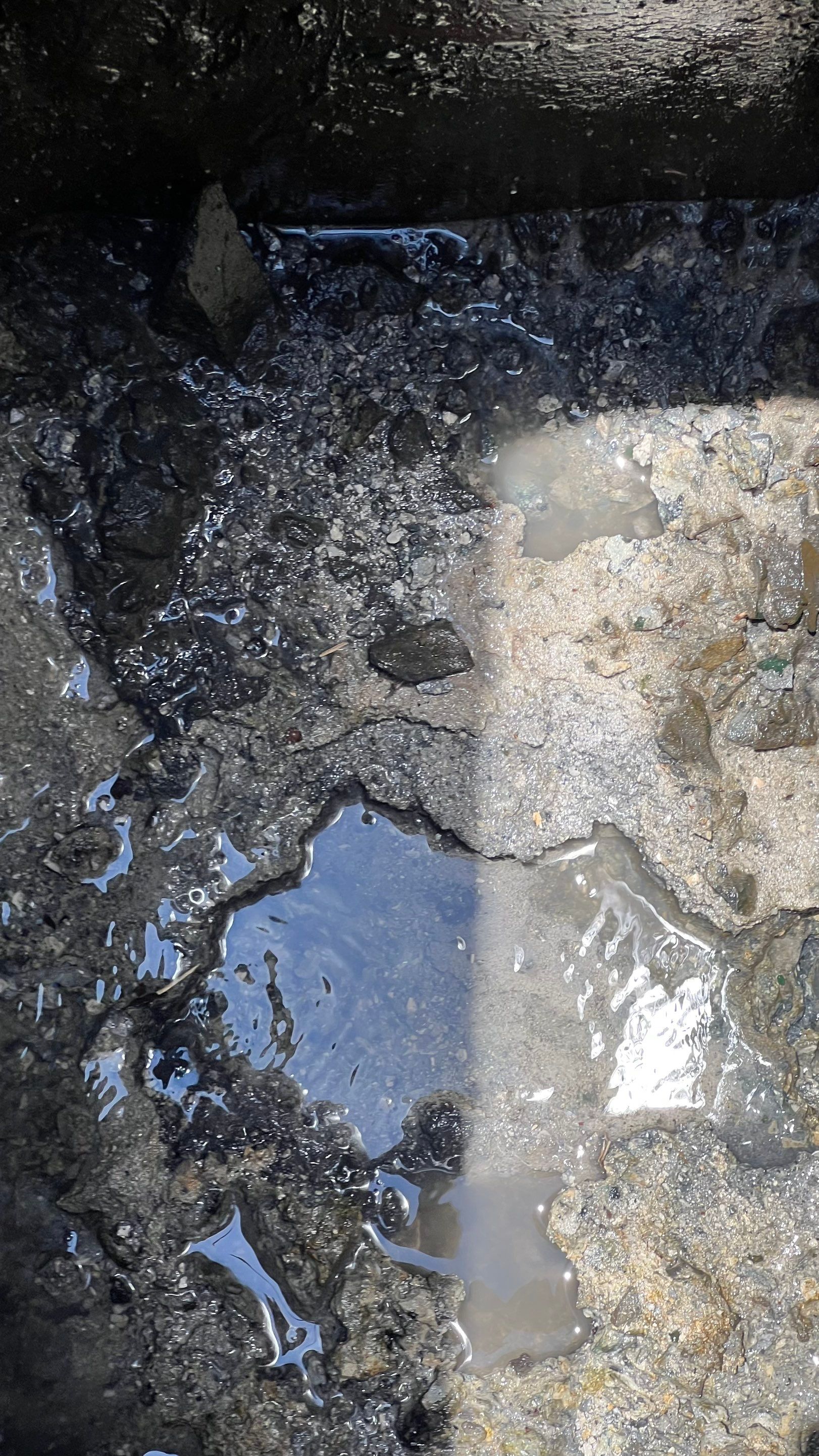 Gulfshore Condo Stormwater System Maintenance by Don Mar, Inc. Storm Water Solutions