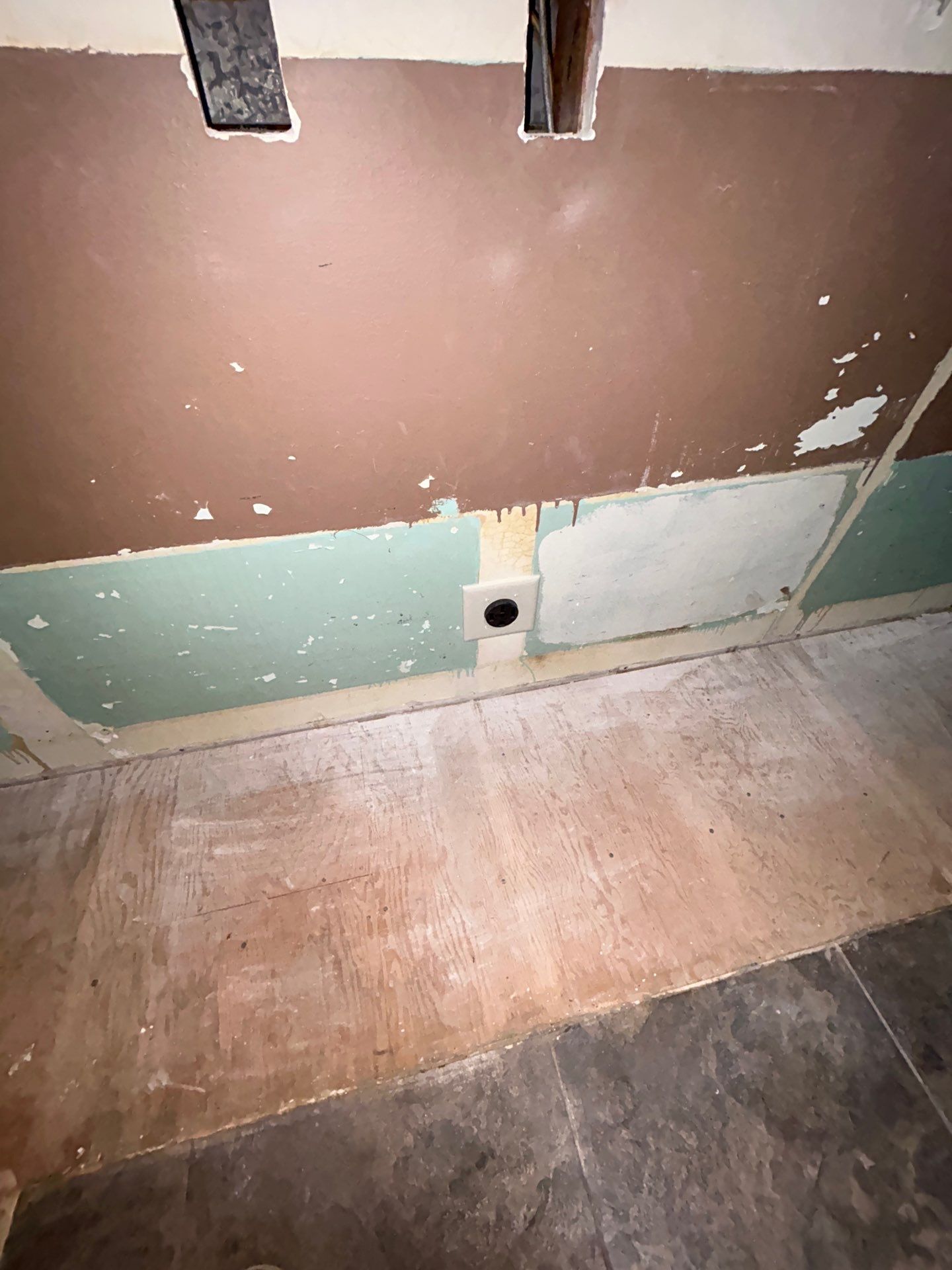 Bear Electric featured photo.