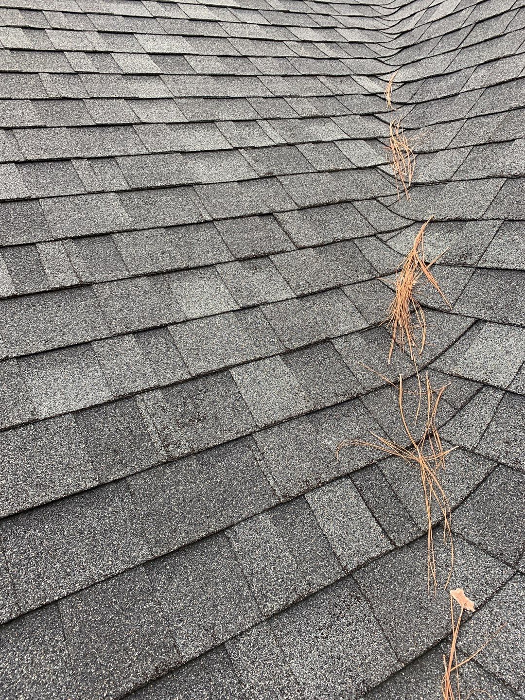 Re Roof by American Roofing NC
