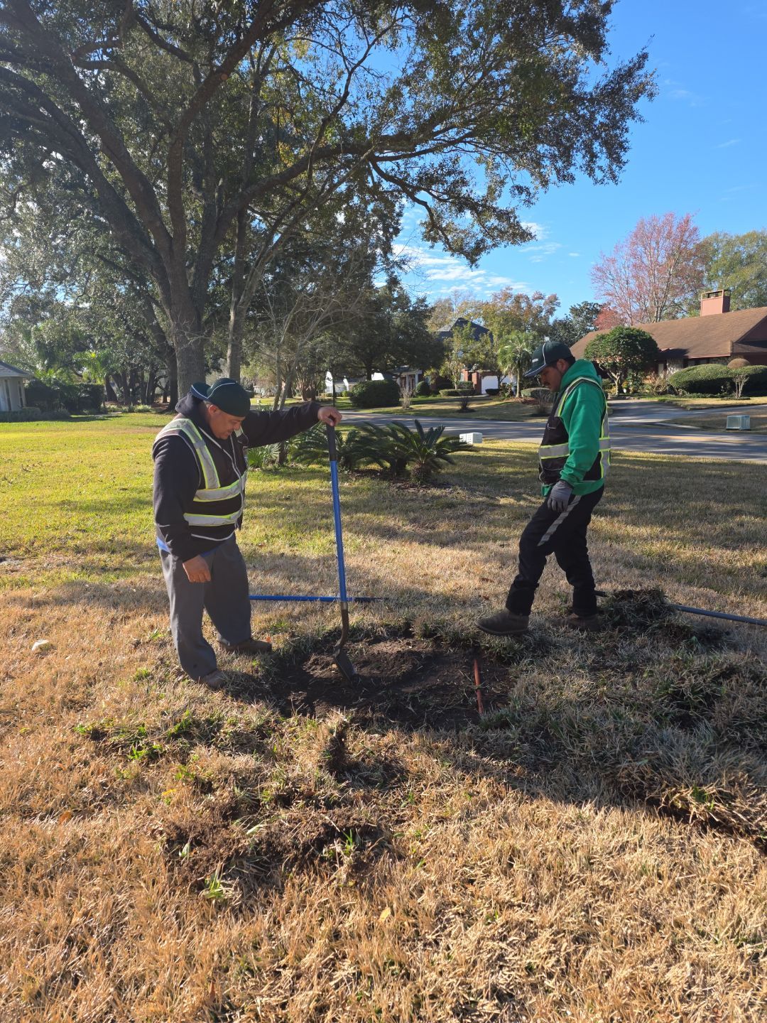 Deerwood Resident | Tree Install by ProGreen Services