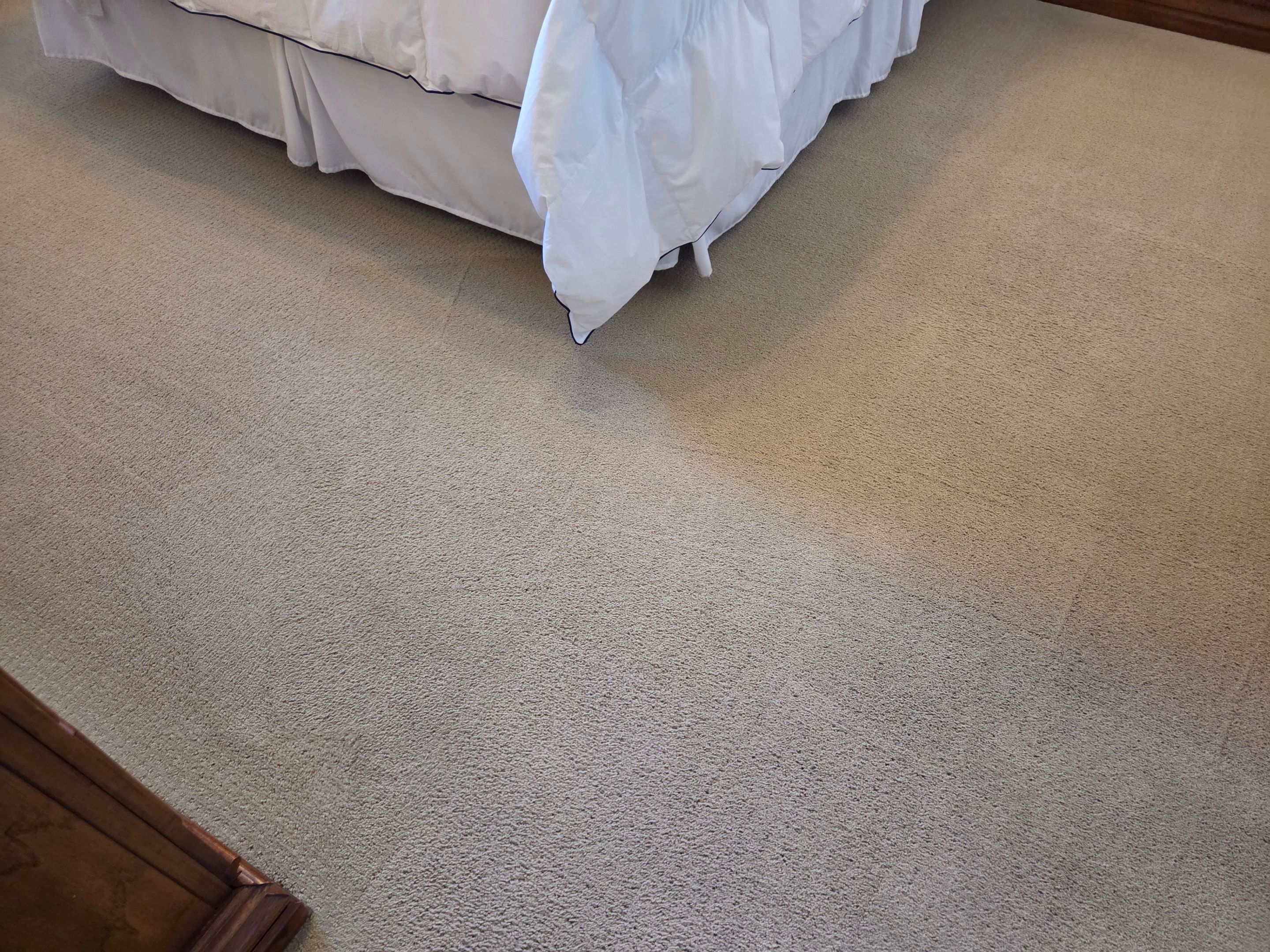 Professional Carpet Cleaning in Sacramento by Ardent Carpet Restore LLC