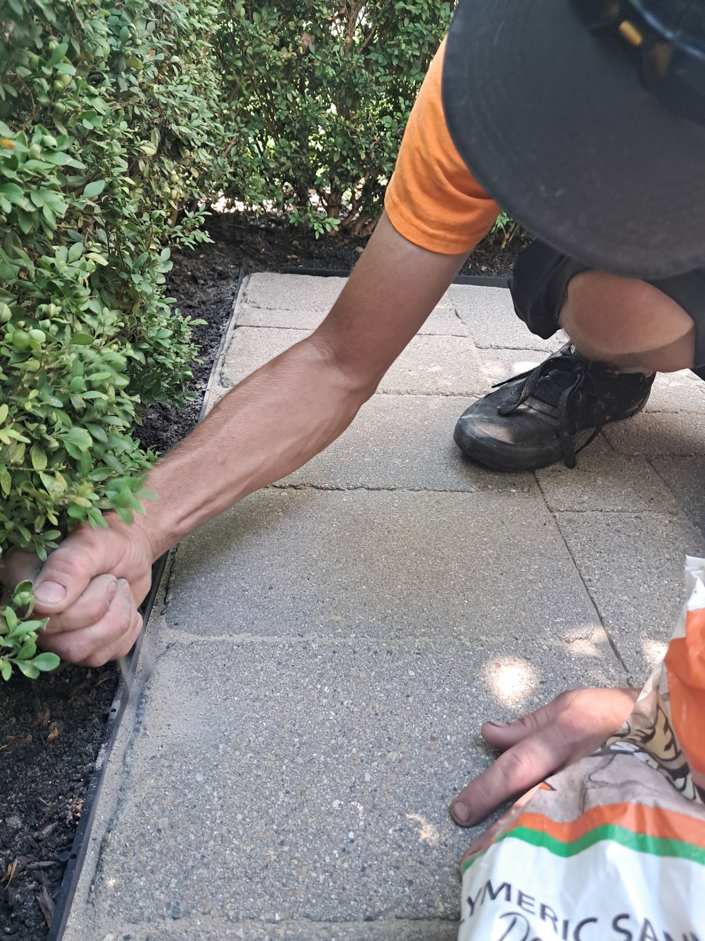Highland Park, Brick paver cleaning sanding and sealing   by Northern Power Washing LLC.