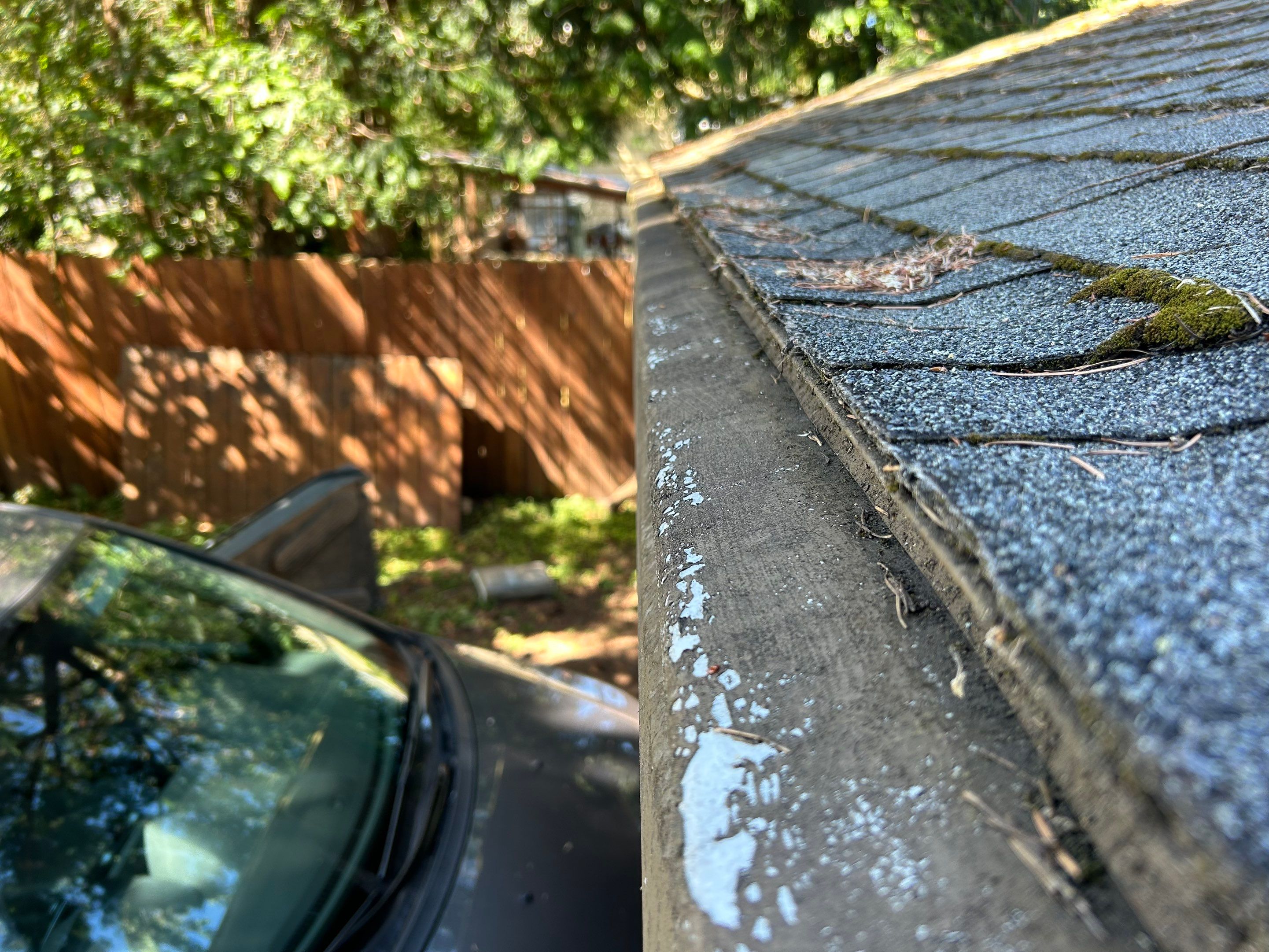 Roof Replacement in Portland by Prodigy Roof Solutions