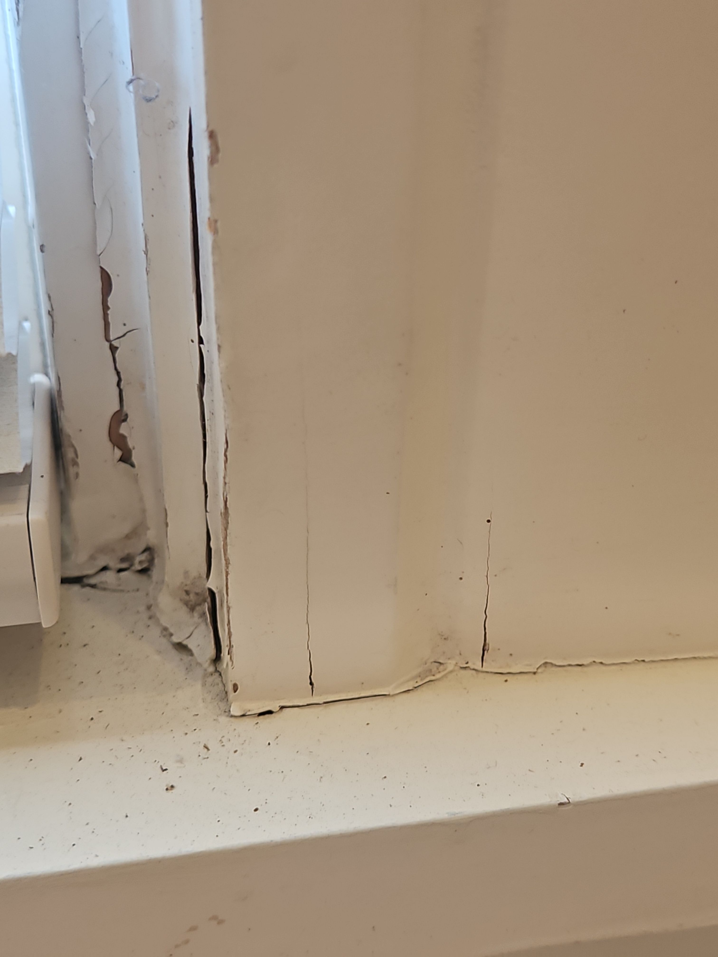 Project in Austin, TX by AllPro Painting 