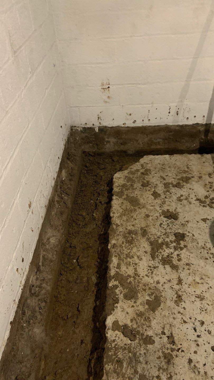 Earning Christine’s Trust in Her Forever Home by Waterproofing Northeast