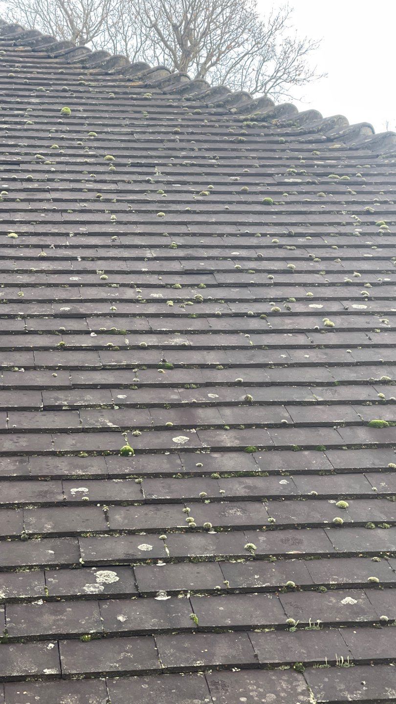 Roof Cleaning and Biocide Treatment using Honda 15lpm Low Pressure Washing Machine by Ges Exterior Cleaning ltd