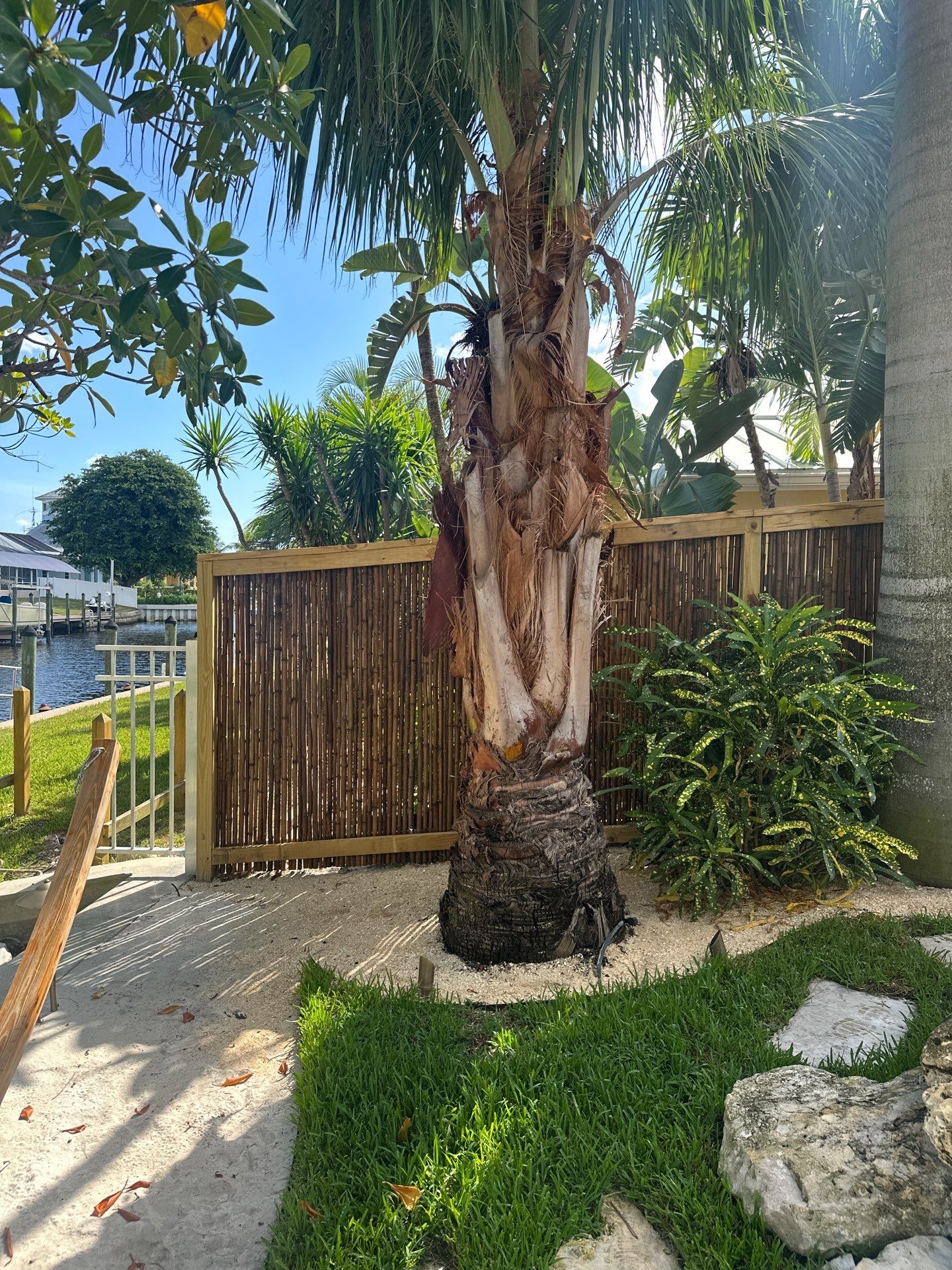 “Tropical Oasis Transformation in Palm City” by Alpha Zeta Enterprises Inc