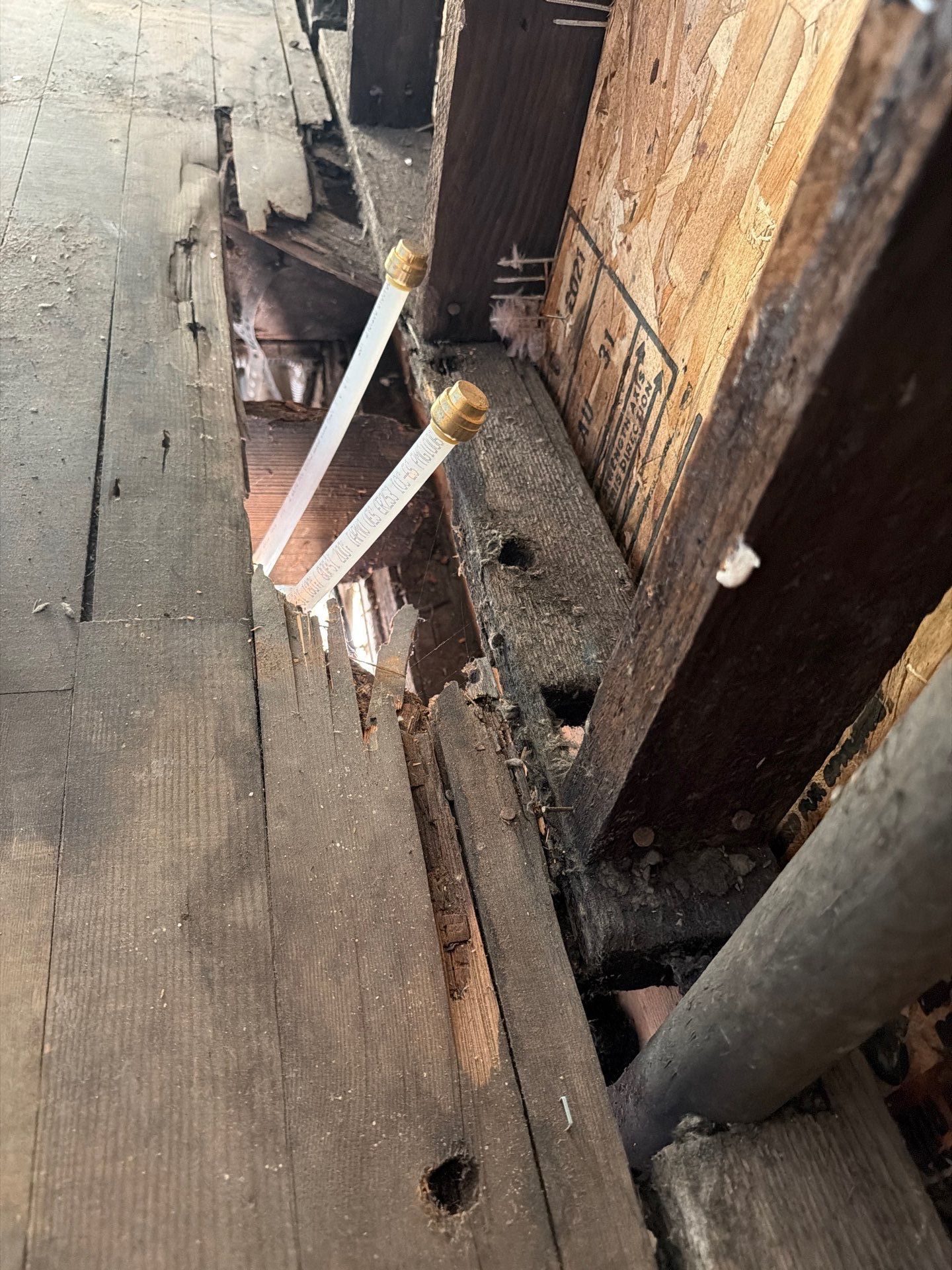 Dry Rot Repairs by Handyman State LLC
