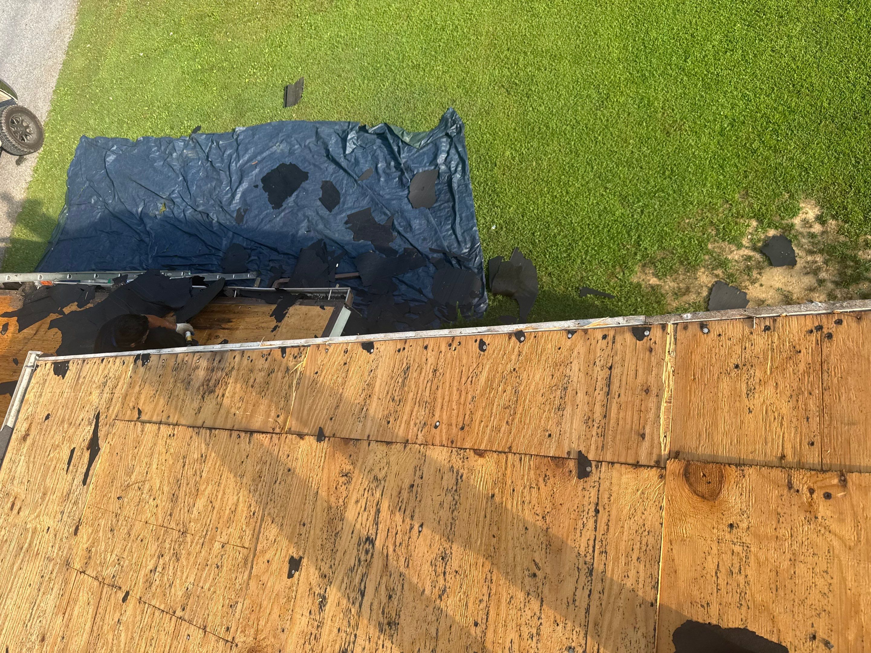 Landmark Pro - Shenandoah by Winchester Roofing