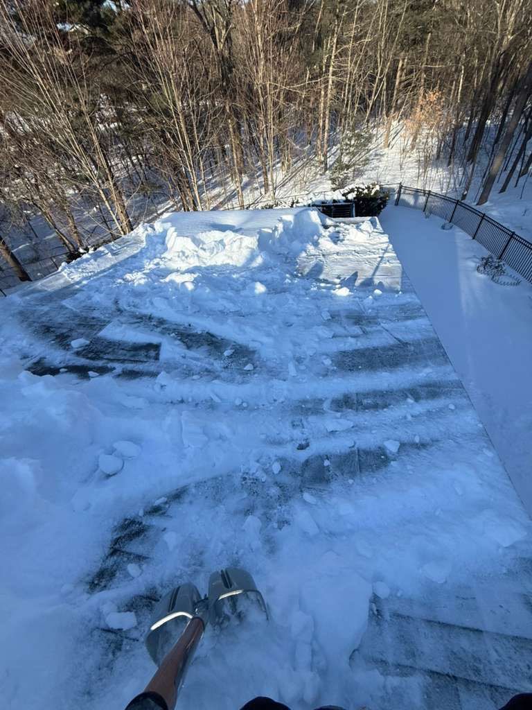 Sow Removal by Mighty Dog Roofing of Greater Middlesex County