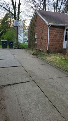 Tree Removal using Tree Removal