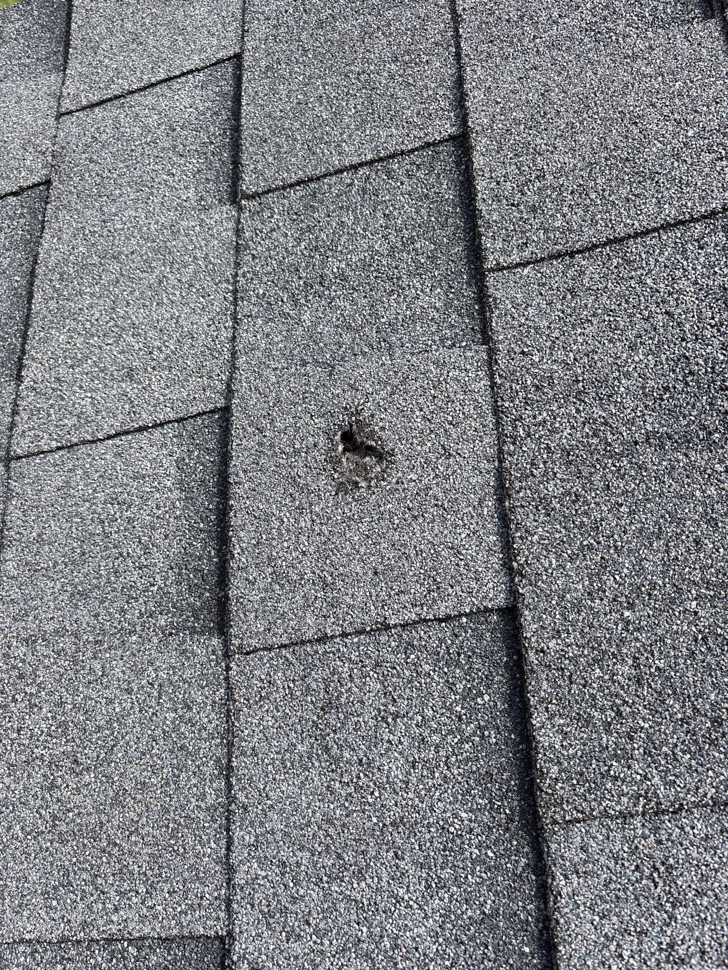 Roof Repair Sugarland by Roof Repair Services LLC