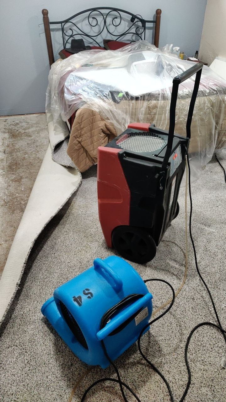 Water Damage and Mold Remediation by Accountable Home Services