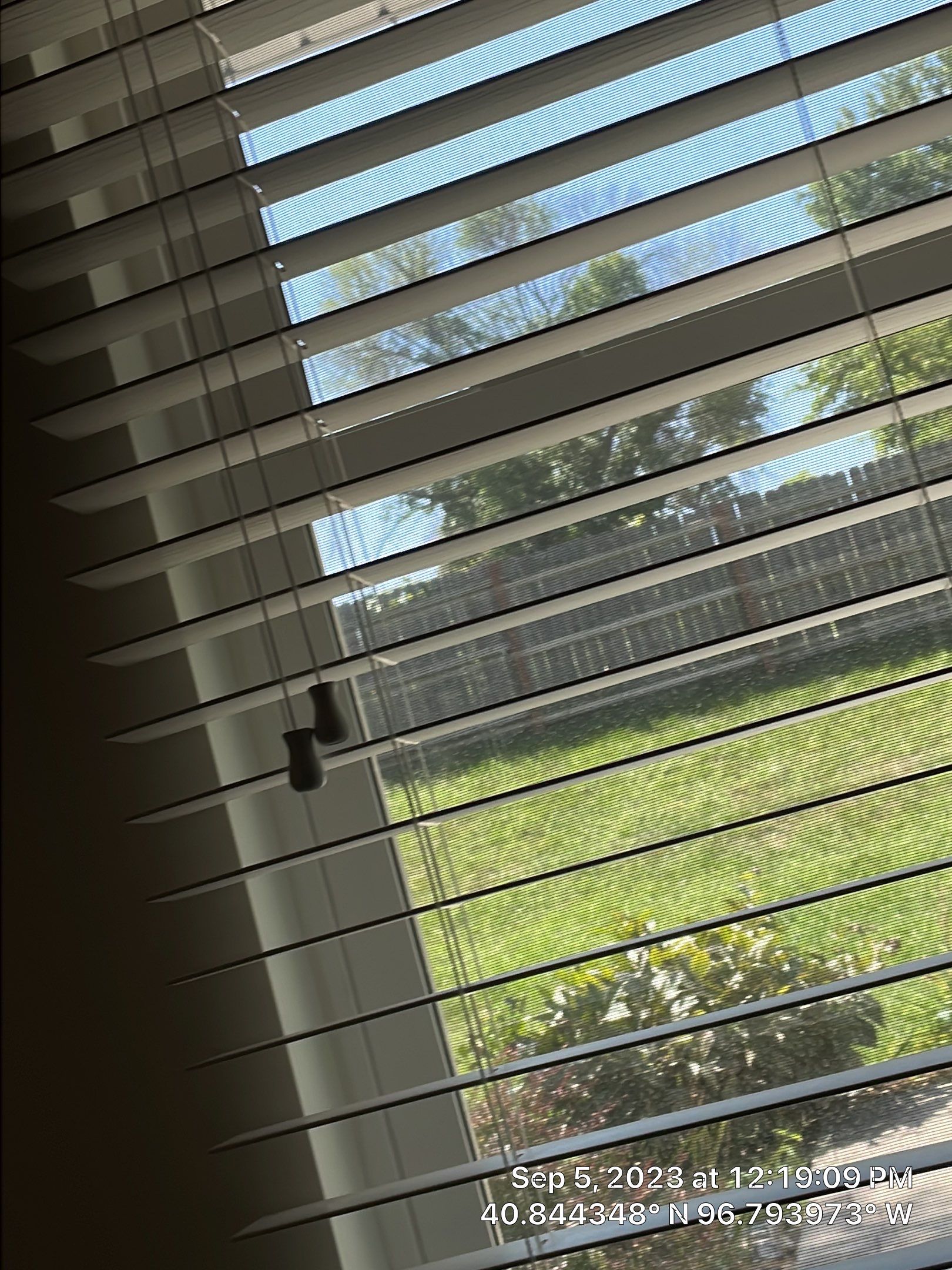 Basement remodel project by CompanyCam Sales Demo