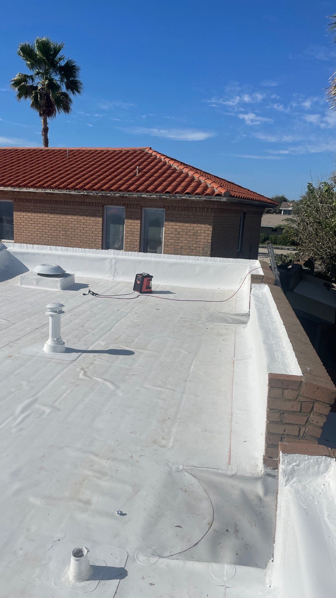 Problems in Paradise  by Bayfront Roofing and Construction
