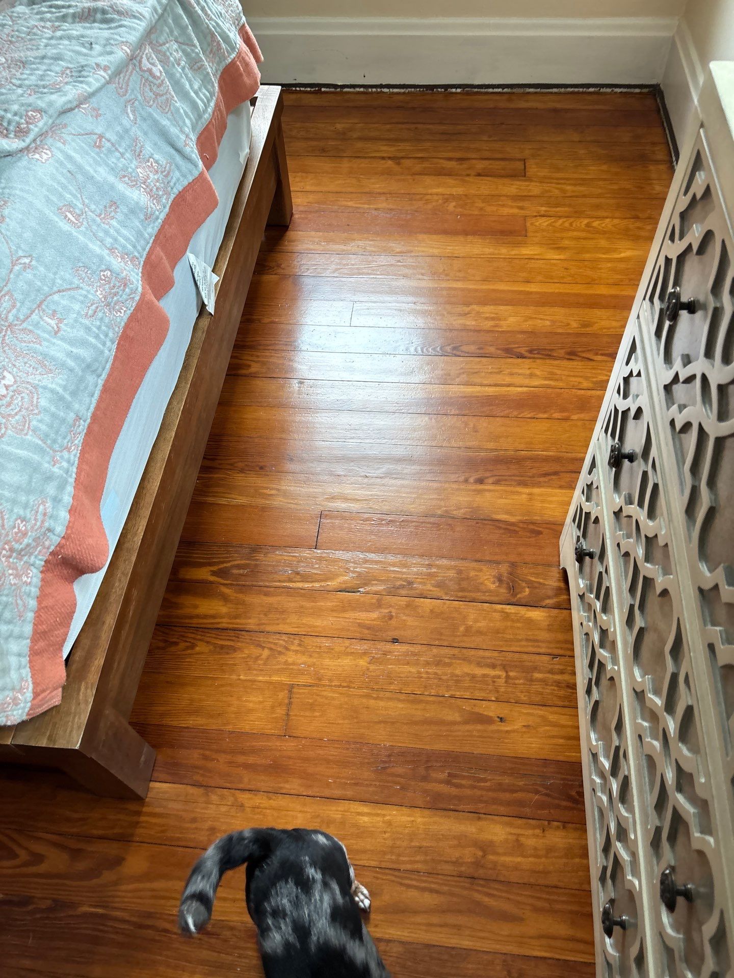 Refinished Honey Hardwood Flooring Throughout Latonia Home by Footprints Floors Kentucky