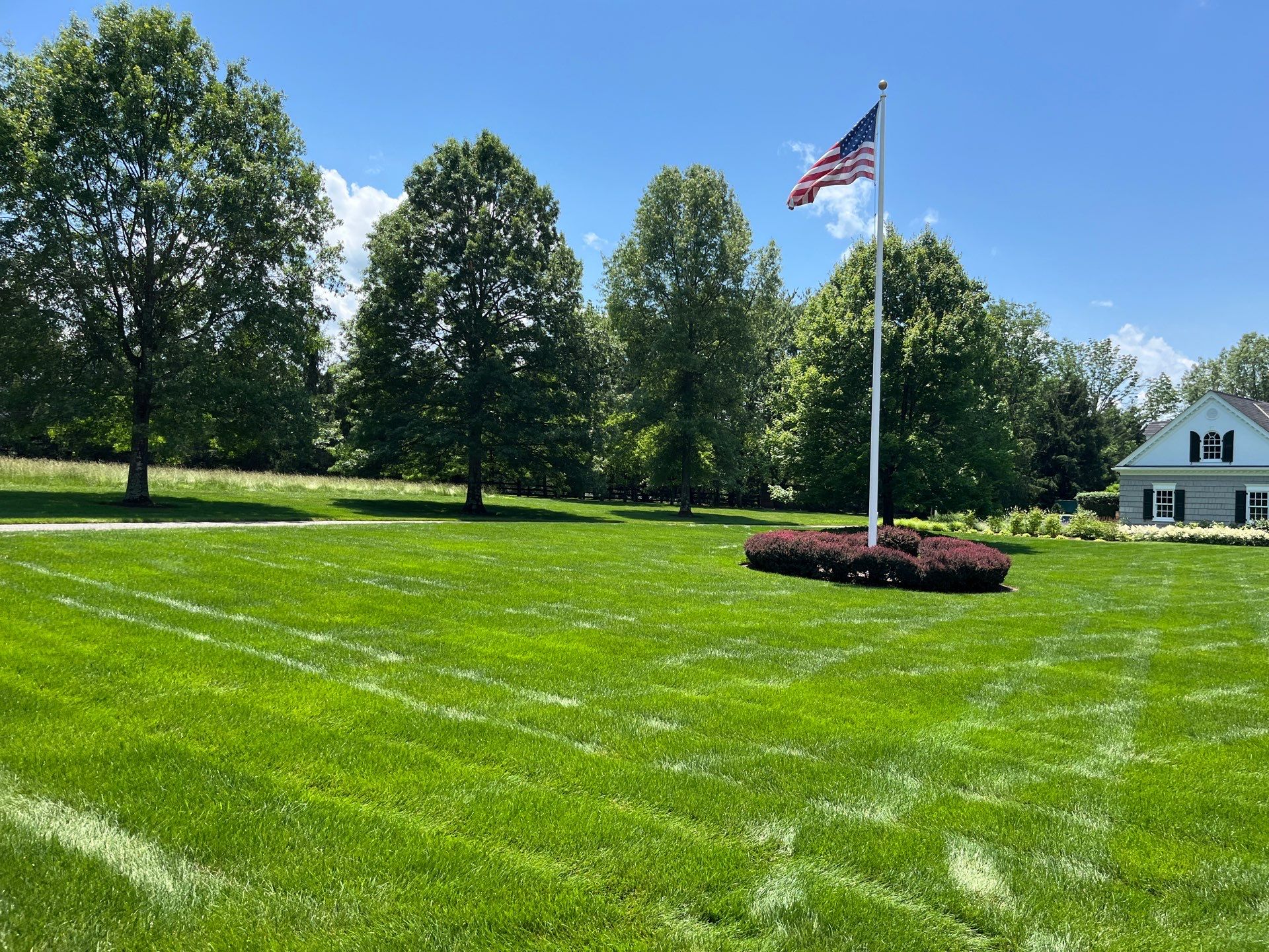 Professional Lawn Care for Far Hills Estate by Ants Plants