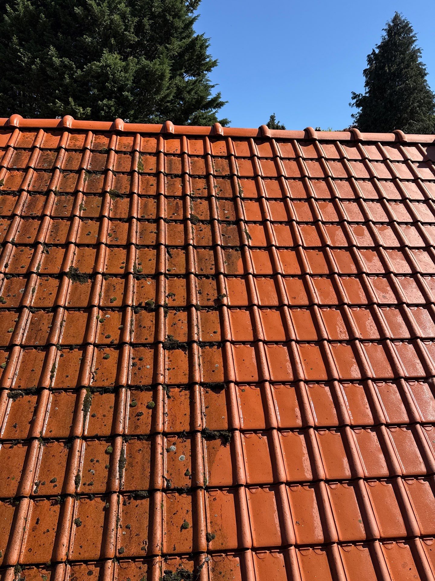 Project in Lasne by 2blox Srl