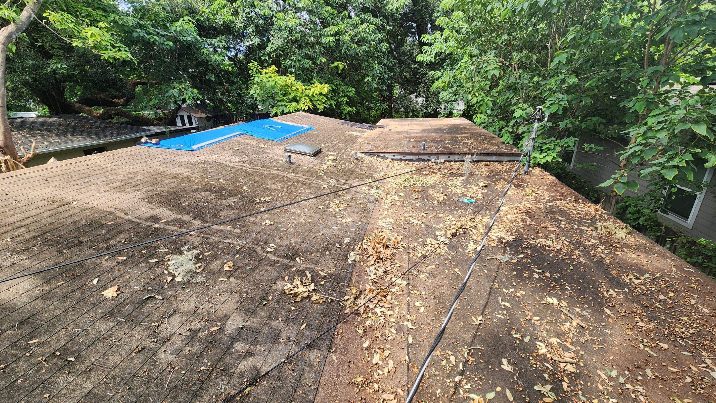 Tree Damage Claim in Orlando by FLAPA & KeyStone