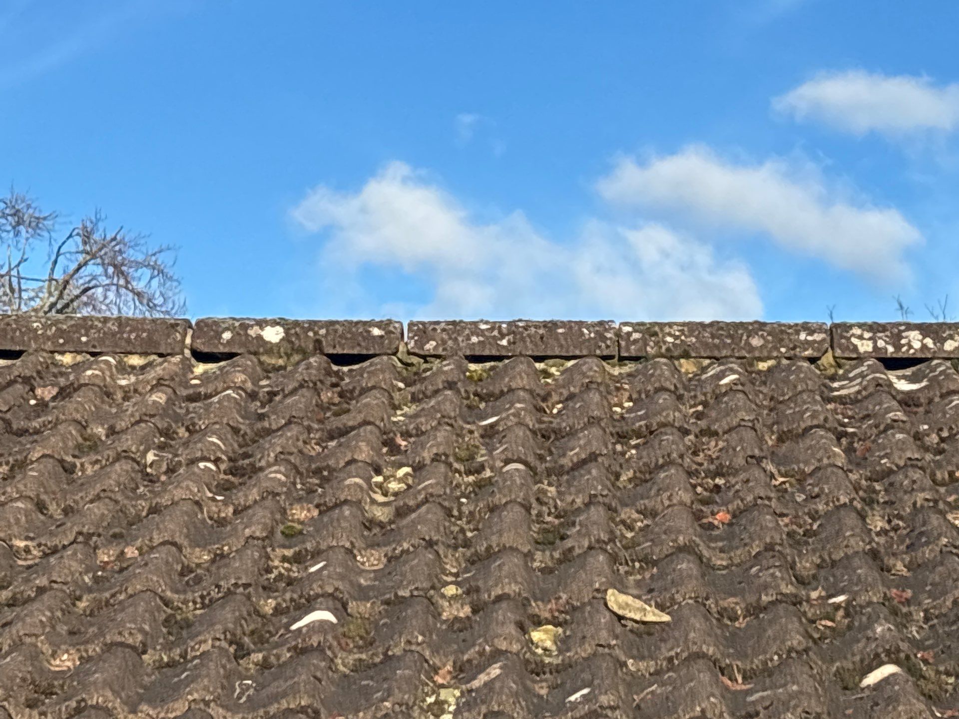 Roof And patio Cleaning Surrey by Ges Exterior Cleaning ltd
