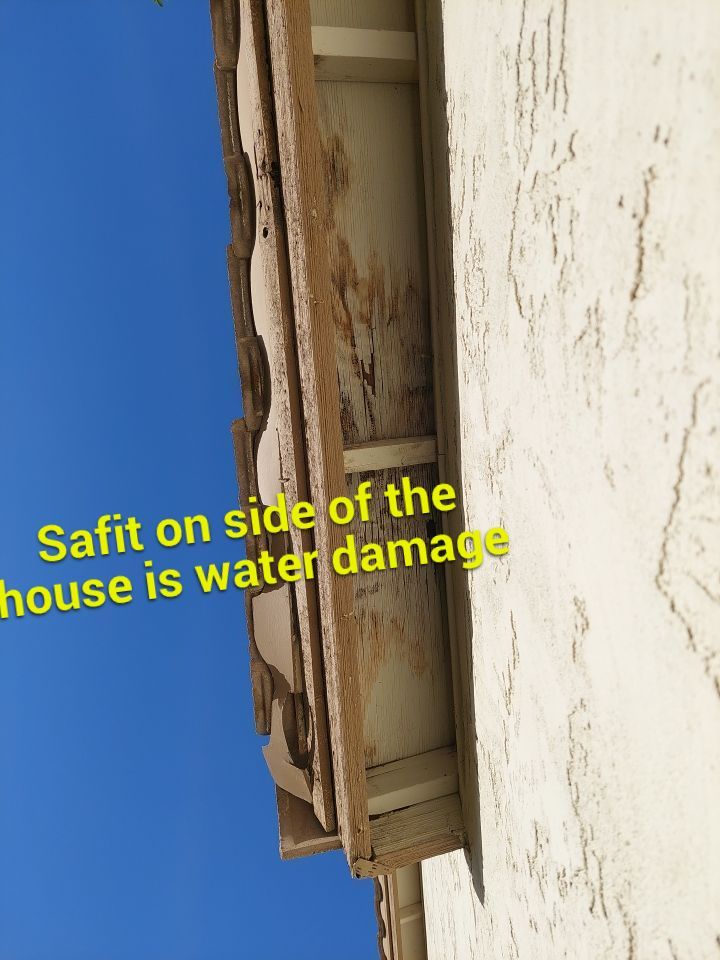 Exterior Painting - Gilbert by Crash of Rhinos Painting & Garage Floors