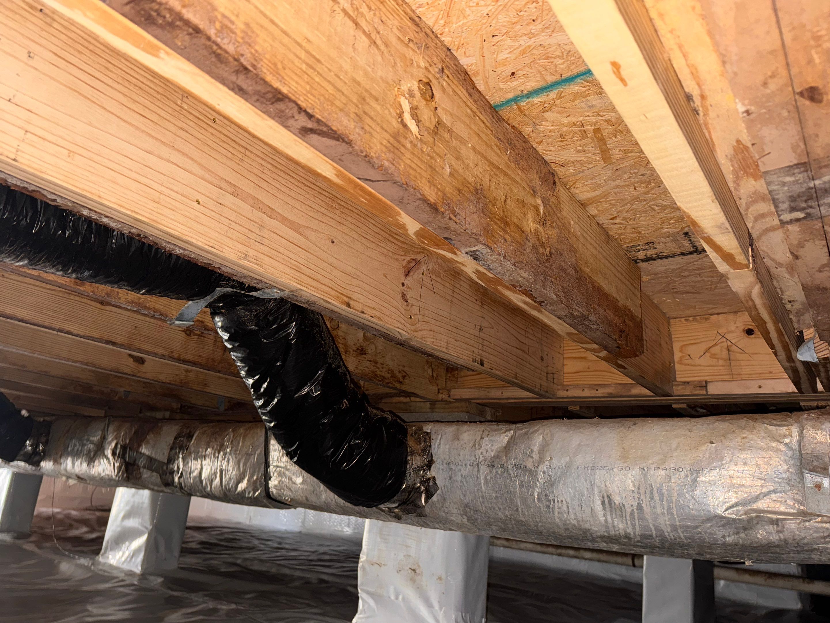 Structural Repairs inludiing sub-floor removal, new floor joists installed, girder replacmeent and dropped girder installed. by Impact Crawlspace