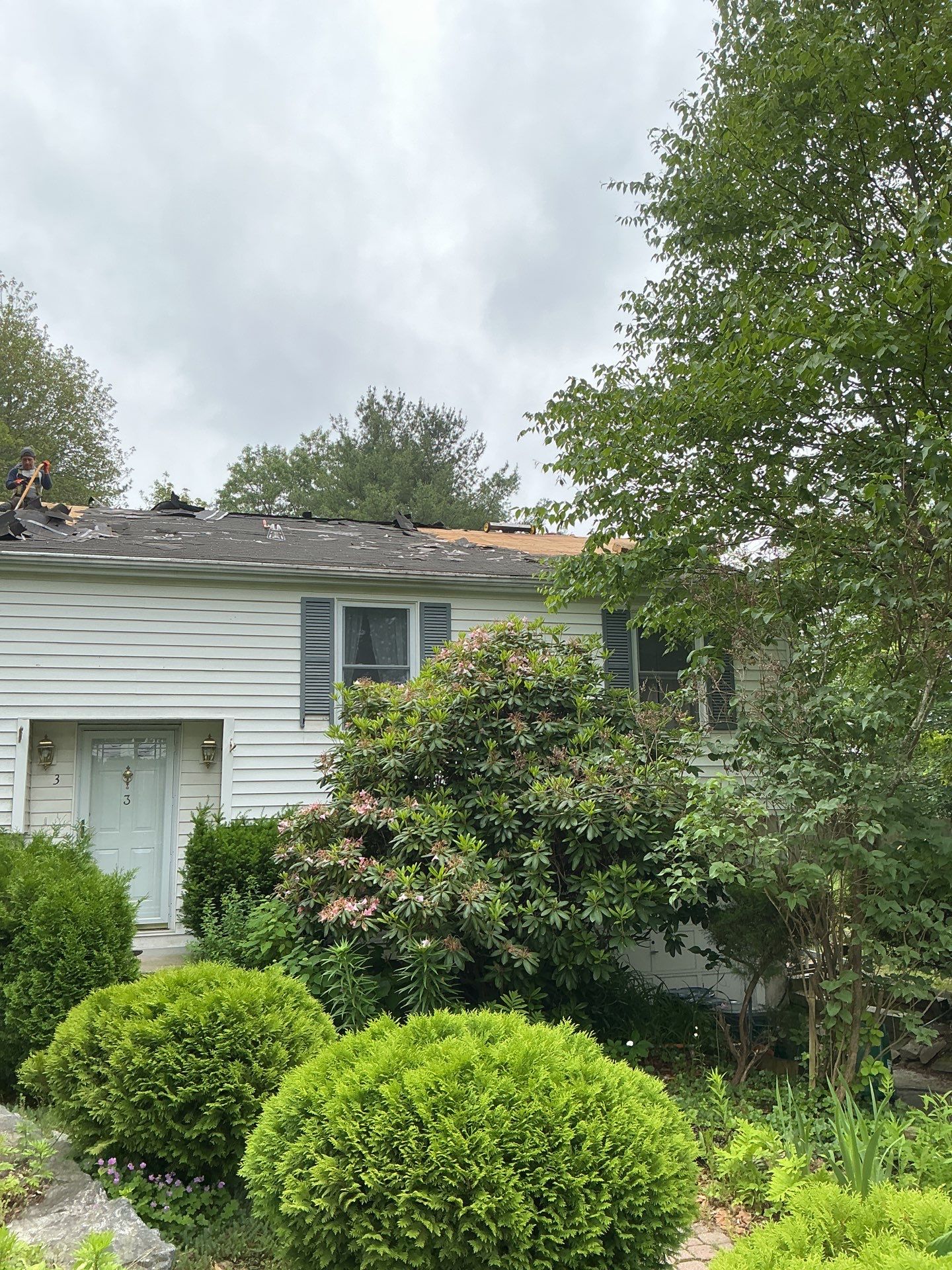 Gutters & Roofing | Acton by Mighty Dog Roofing of Greater Middlesex County