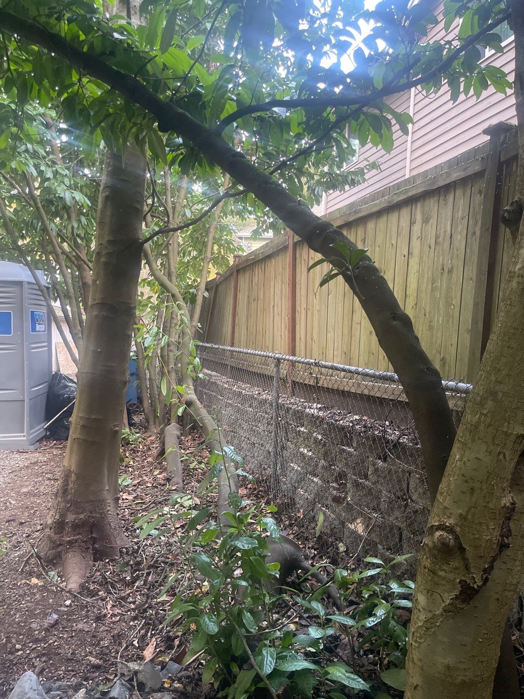 Tree Removal using Tree Removal by Mike Jones & Sons Tree Service LLC 