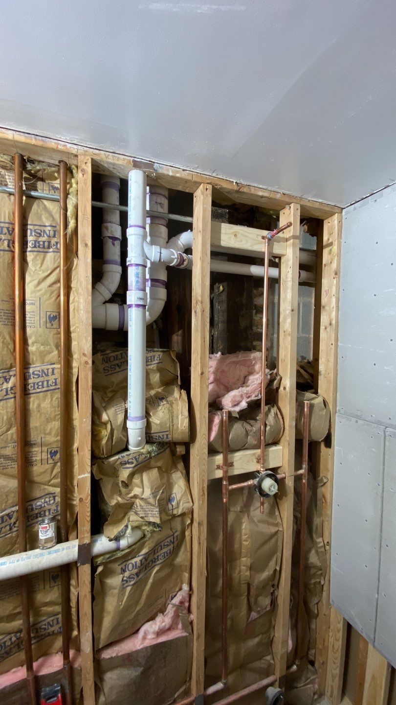 Home Renovation - Bucktown by Punch List