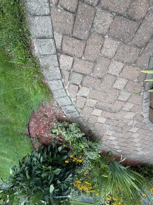 Gutter Cleaning in Vernon, NJ — Gallo Bros job photo