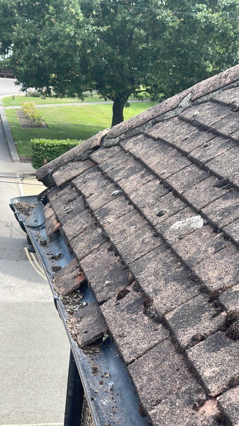 Roof Clean  - Moss Removal - Gutter Clean using Honda 15lpm Low Pressure Washing Machine by Ges Exterior Cleaning ltd