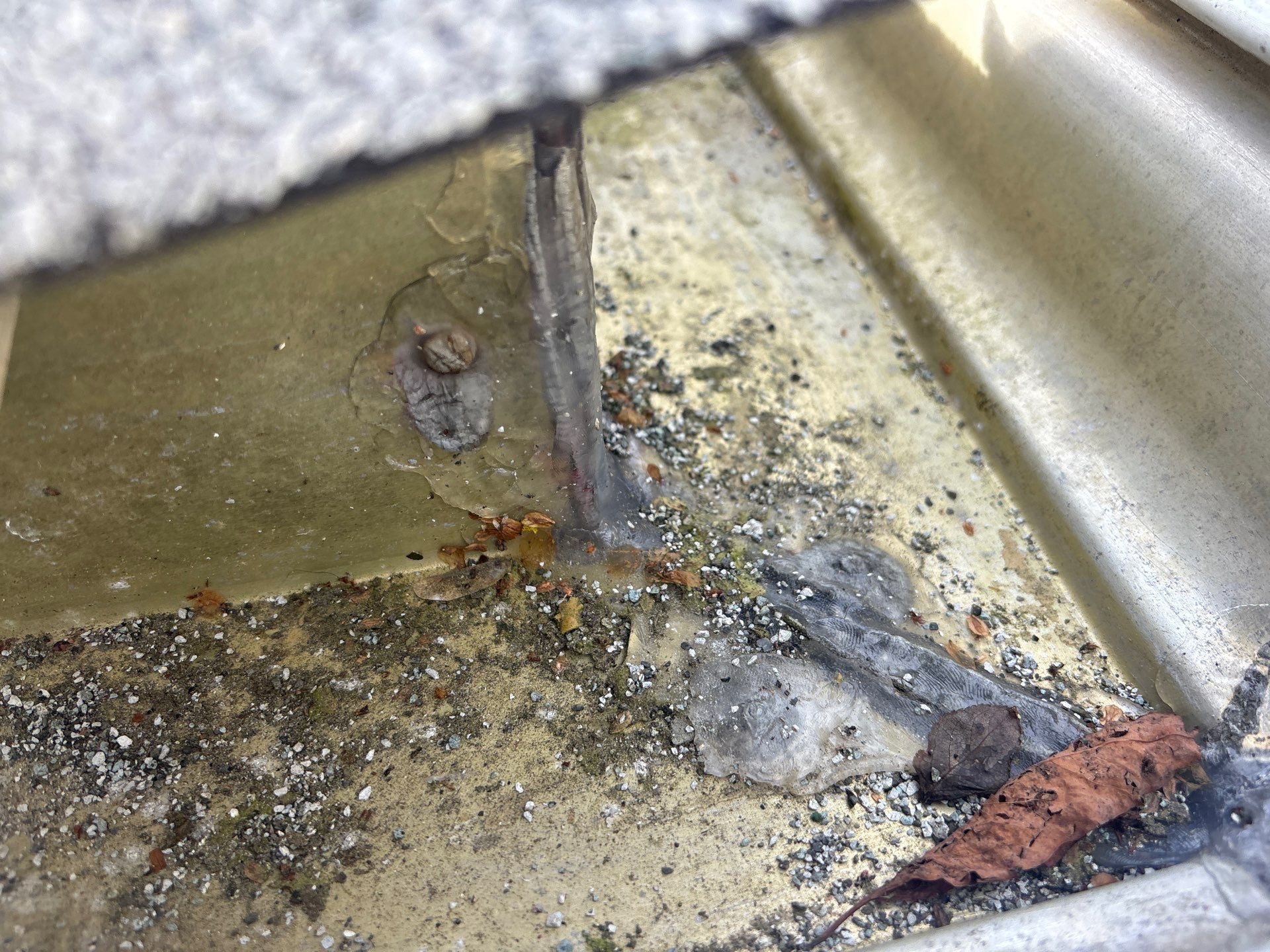 Gutter, Soffit & Fascia Repair – Seattle, WA by Everpro Construction